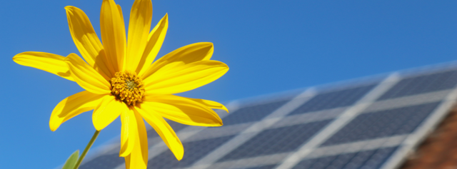 Immer mehr Bürger und Unternehmen nutzen günstige Solarenergie