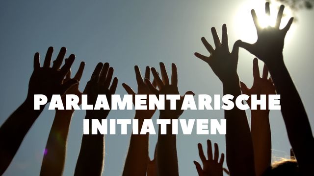 Parlamentarische Initiativen