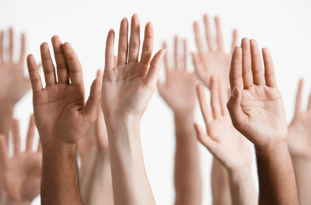 Parlamentarische Initiativen